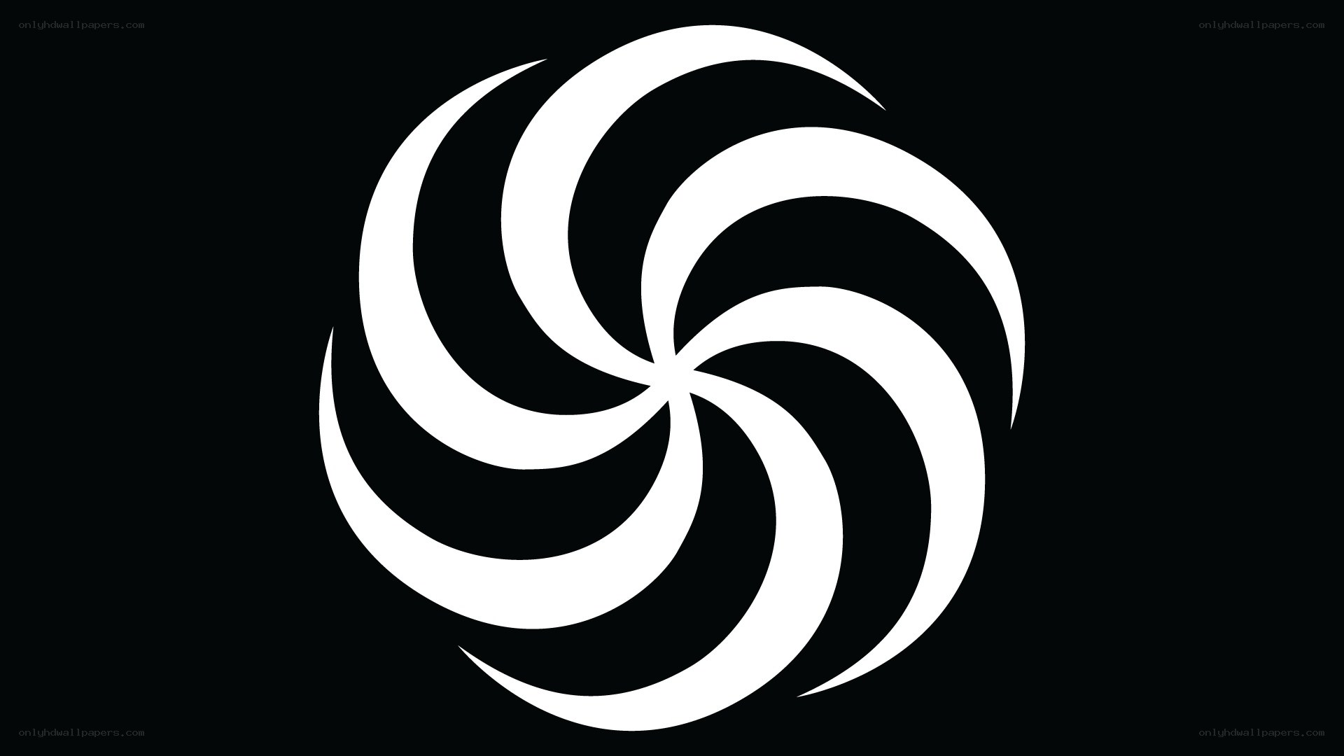 white spiral on black background