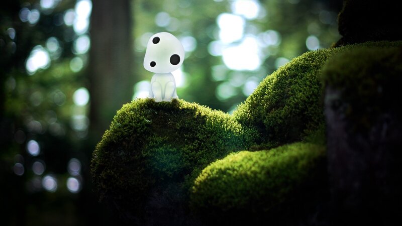 White Spirit on Moss