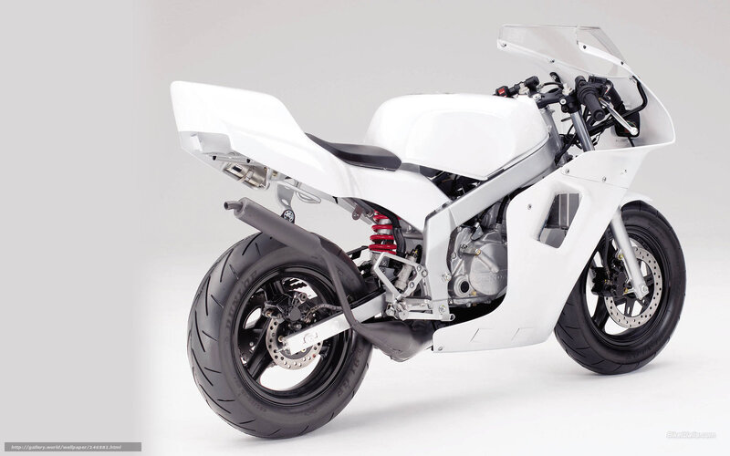 White Sport Motorcycle — Neutral, Photograph, Exhaust Pipe, Rear Wheel