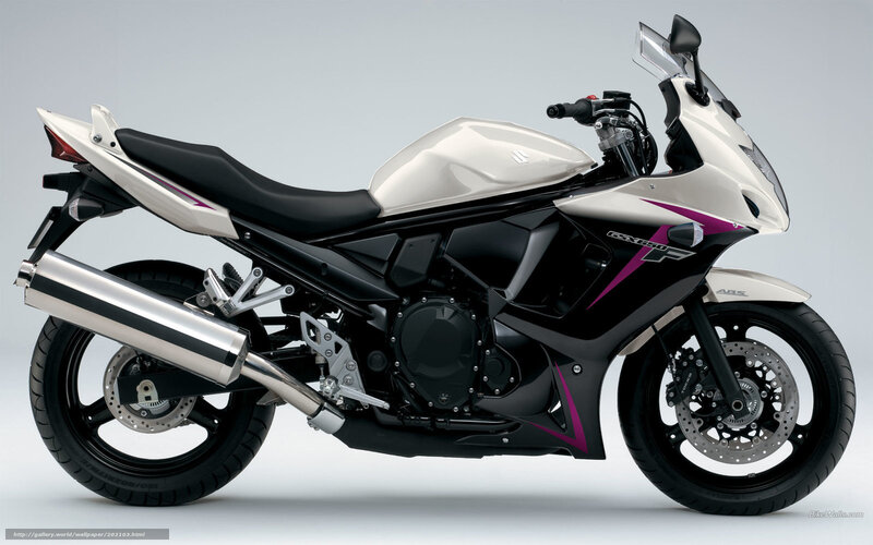 White Sport Motorcycle — Neutral, Photograph, Exhaust Pipe, Seat