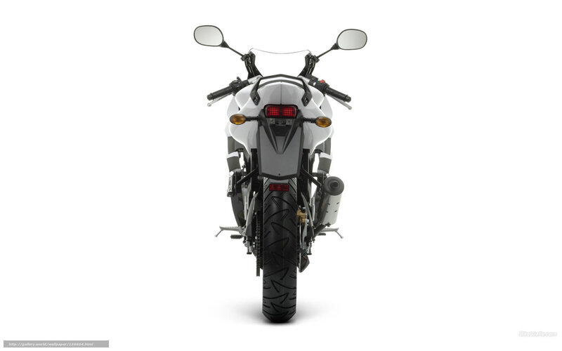 White Sport Motorcycle — Neutral, Photograph, Rear View