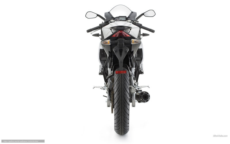 white sport motorcycle rear view