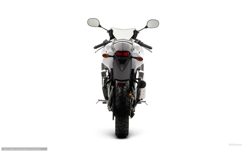 white sport motorcycle rear view