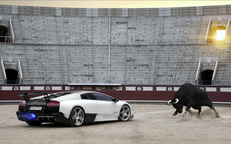White Sports Car and Bull — Dramatic, Sunset