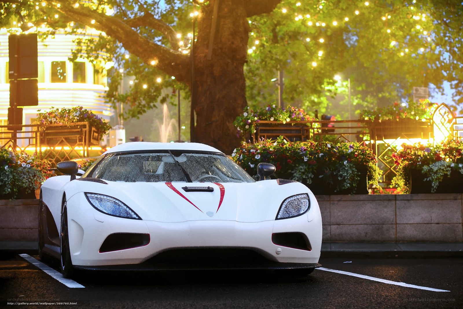 White sports car at night