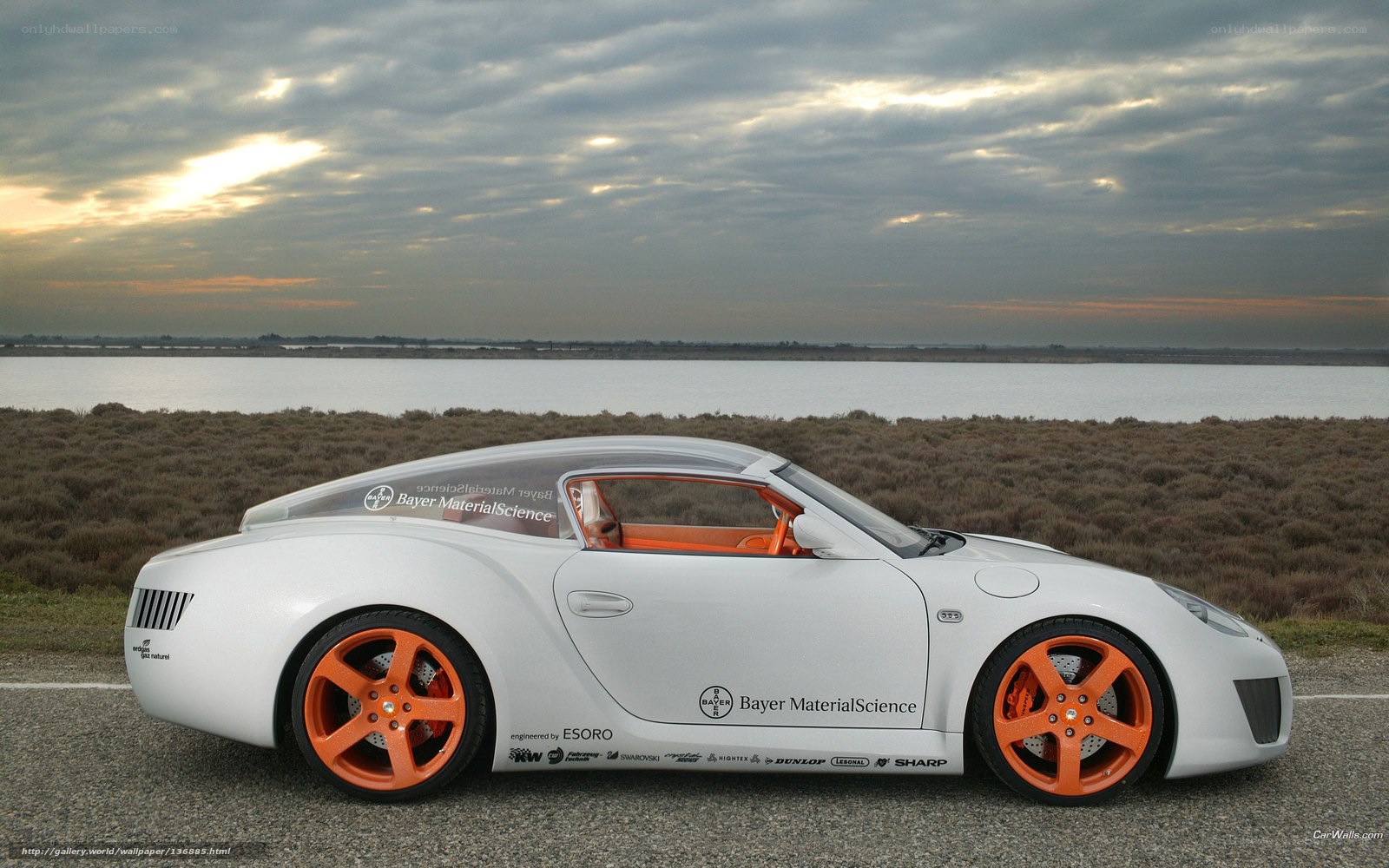 white sports car by water