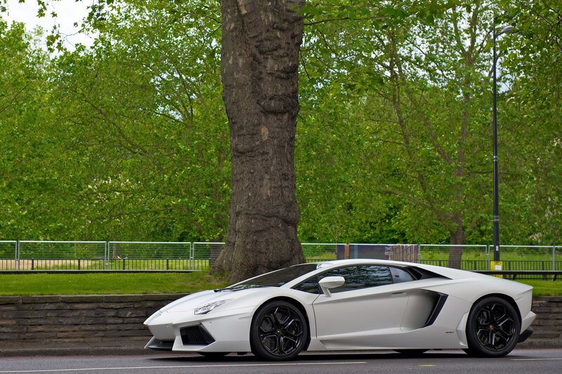 White Sports Car — Calm, Afternoon, Photograph, Tree, Road