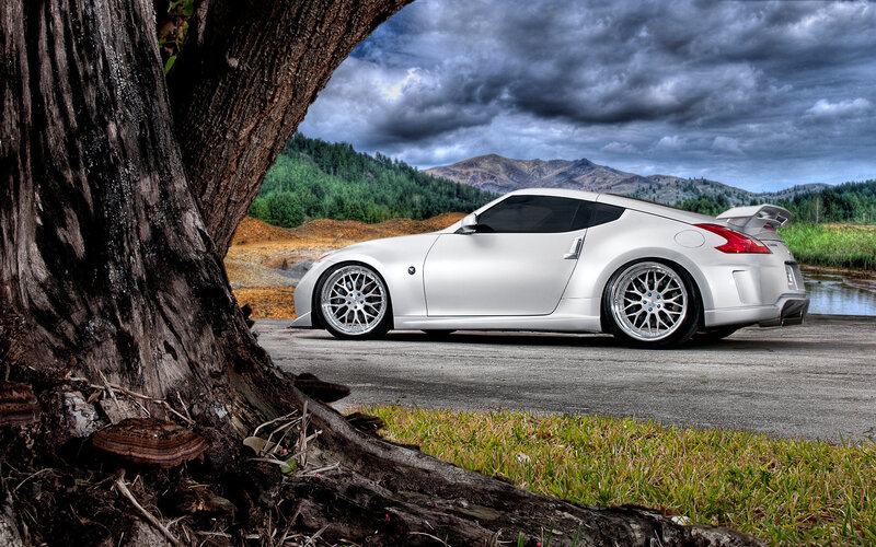 White Sports Car — Dramatic, Photograph, Tree