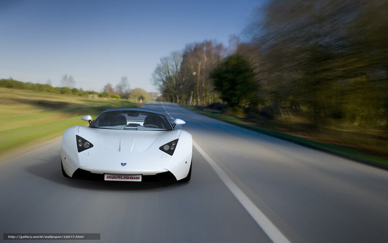 White Sports Car — Dynamic, Afternoon, Photograph, Road, Trees, Grass