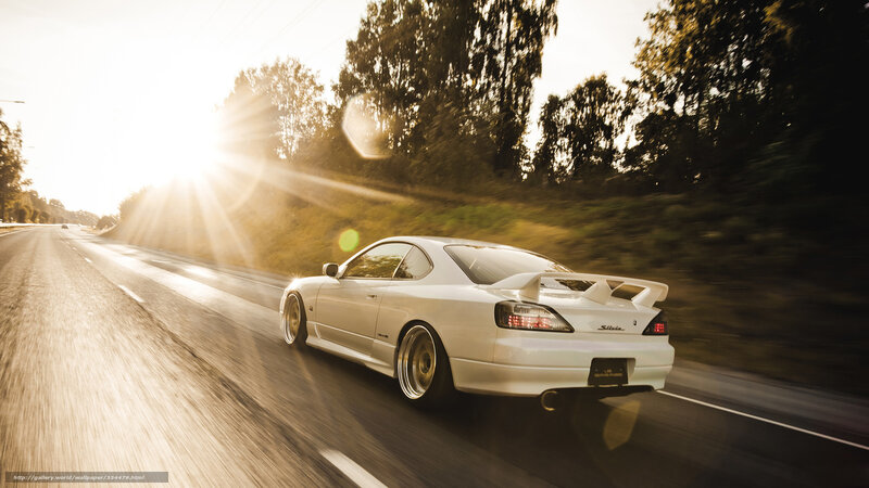 White Sports Car — Dynamic, Sunset, Photograph, Road, Trees, Sun