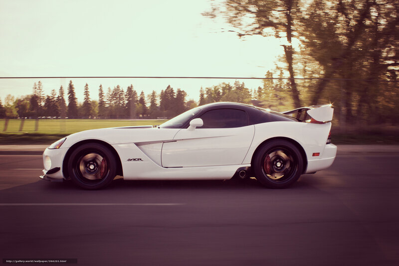 White Sports Car — Dynamic, Sunset, Photograph, Road, Trees, Wings