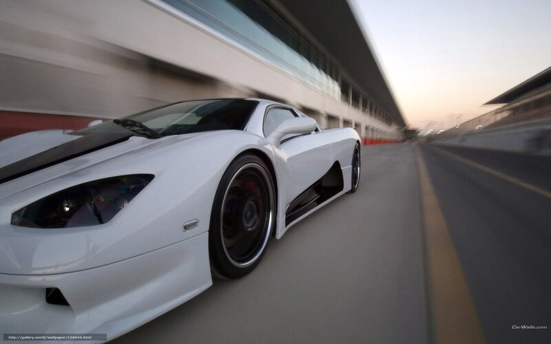 White Sports Car — Dynamic, Sunset