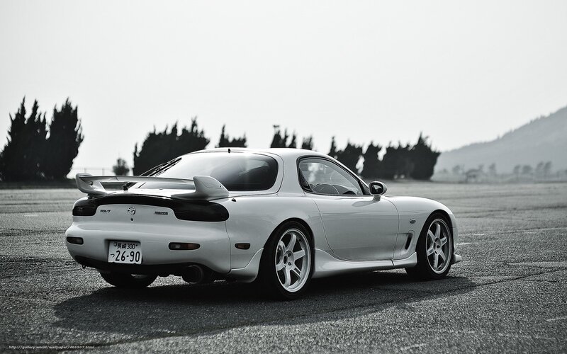 White Sports Car — Gray, Calm