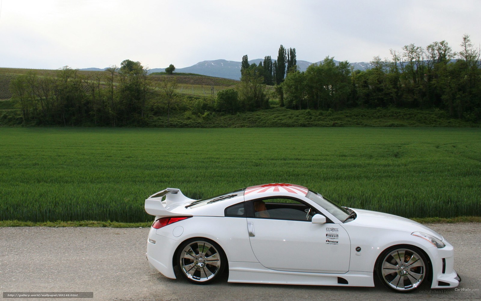 White sports car in a field