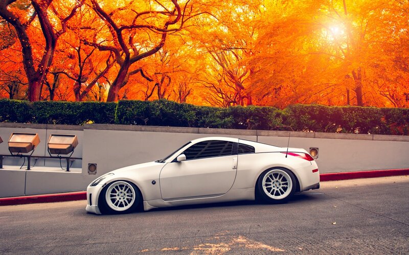 White sports car in autumn