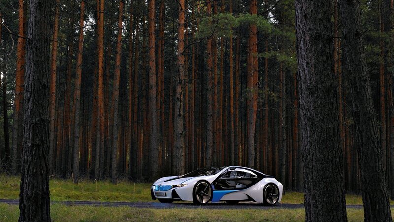 White Sports Car in Forest — Serene, Photograph