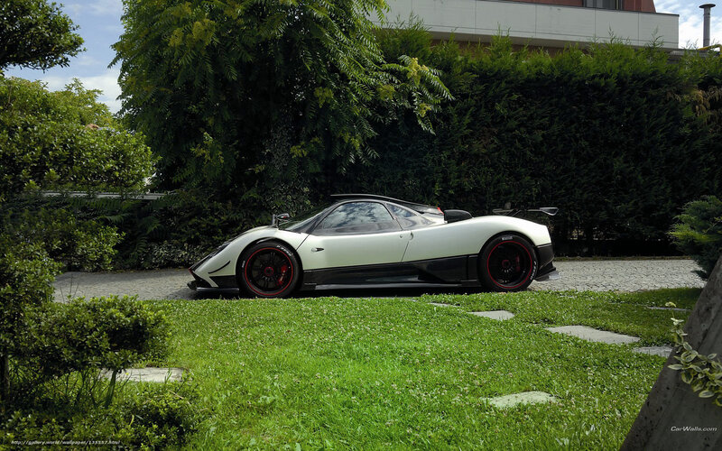 white sports car in garden