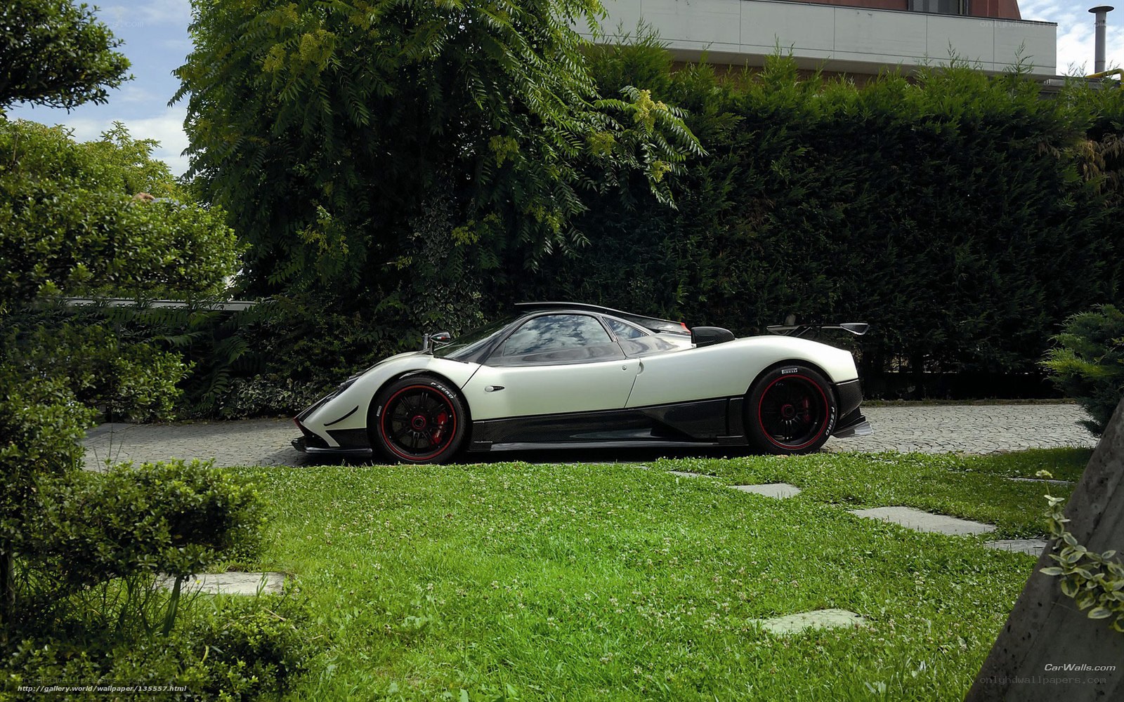 white sports car in garden