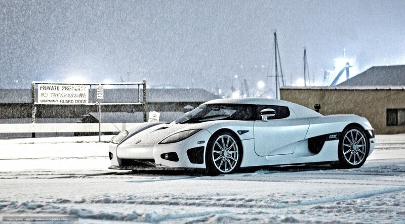 White sports car in snowstorm
