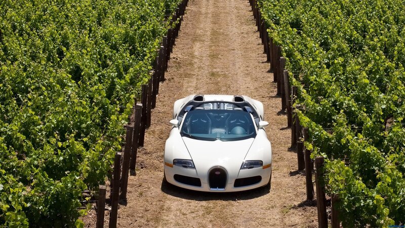 White Sports Car in Vineyard — Green, Serene, Afternoon