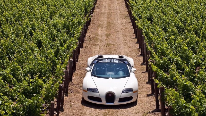 White Sports Car in Vineyard — Green