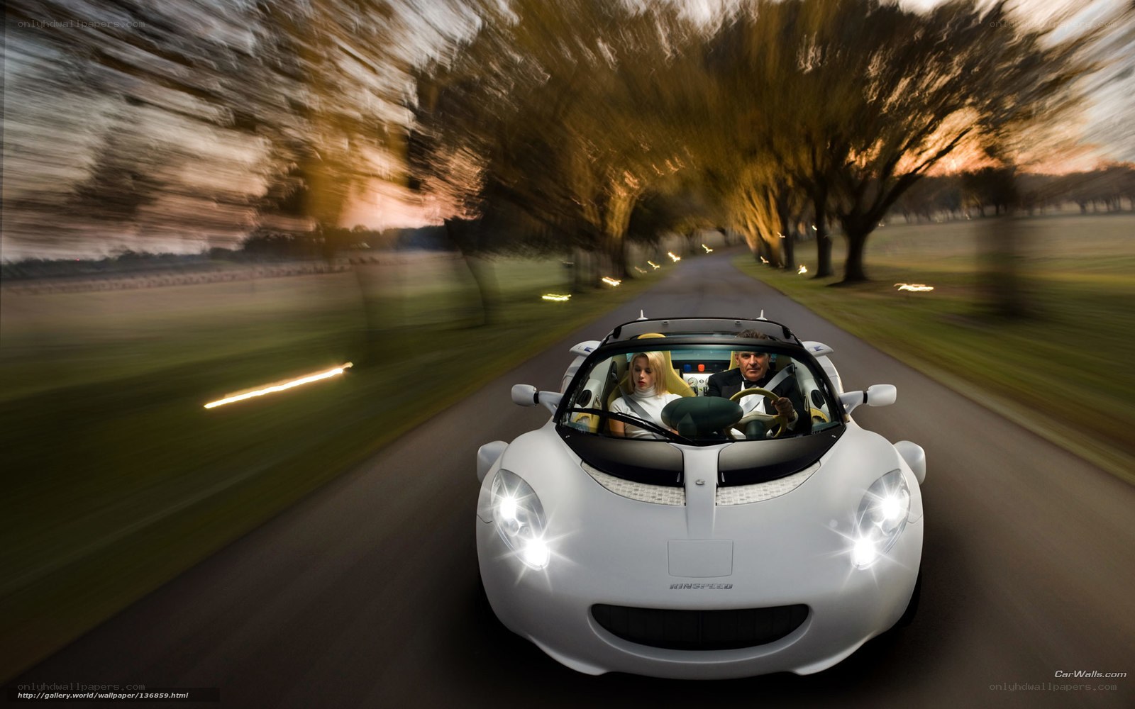 White sports car on a tree-lined road