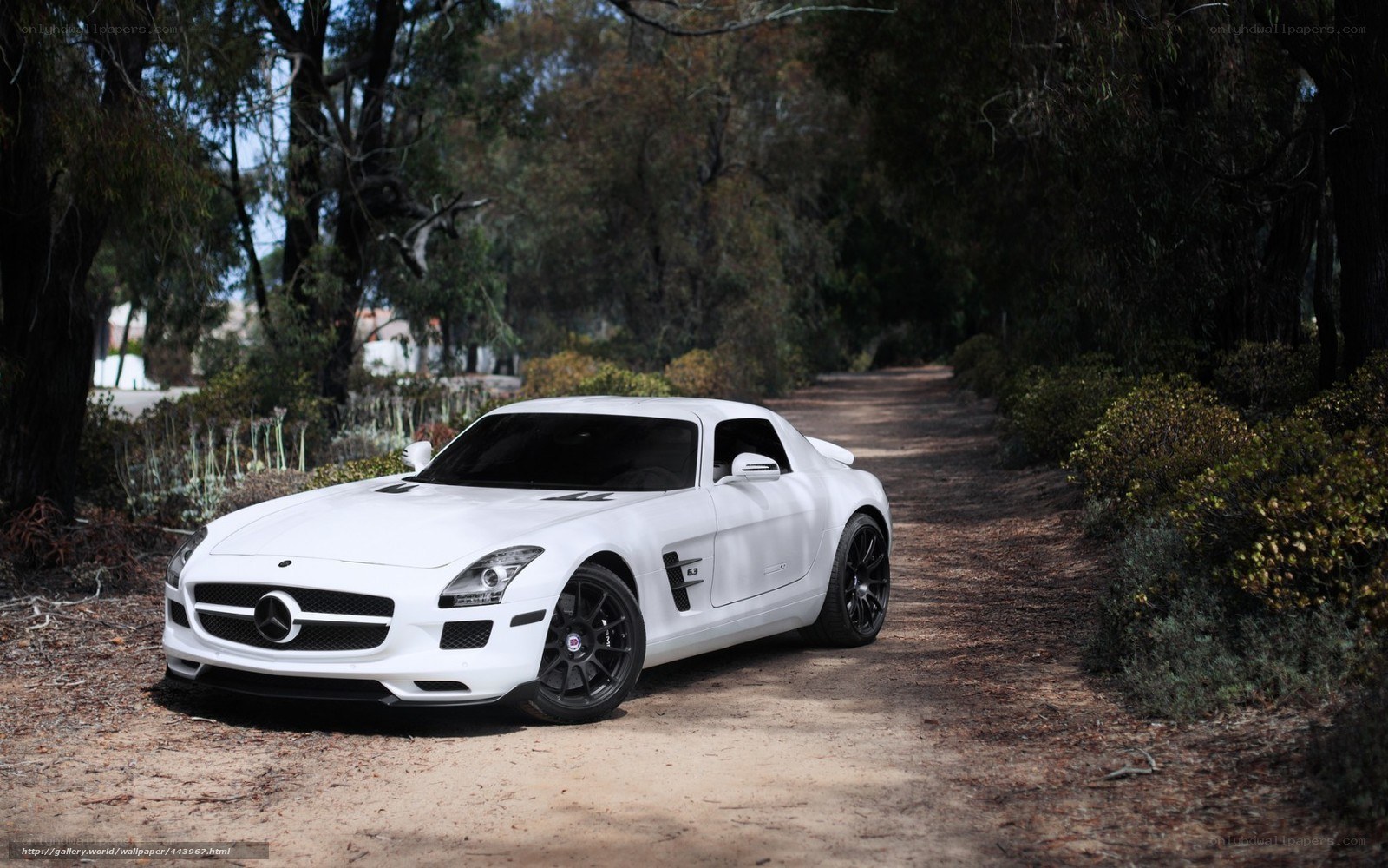 White sports car on dirt road