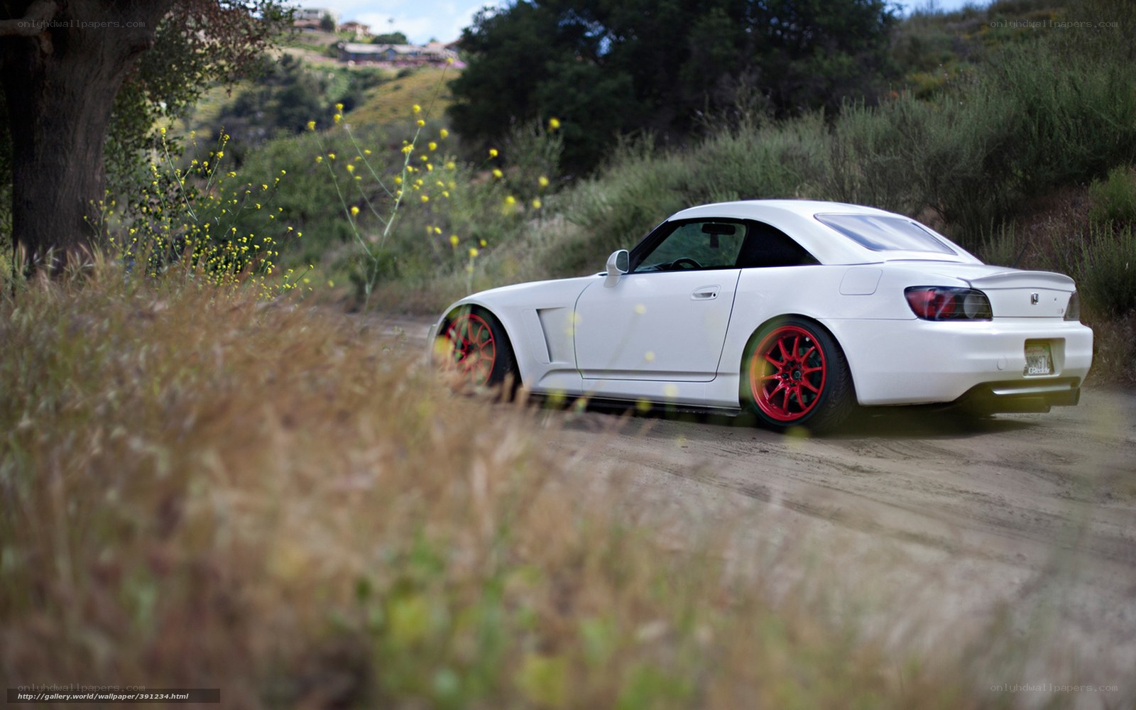 White sports car on dirt road