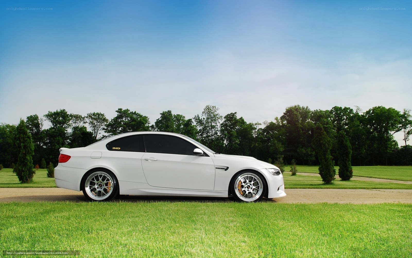 white sports car on grass