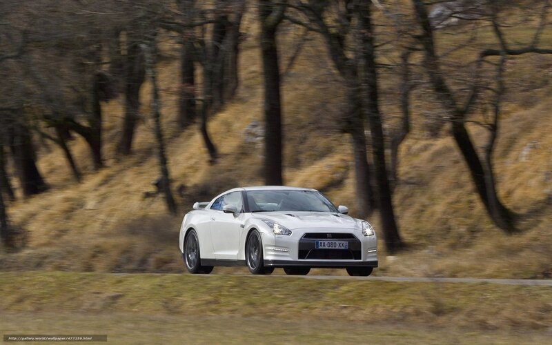 white sports car on road