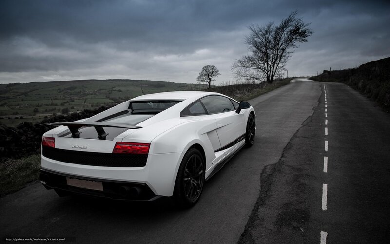 White Sports Car on Road — Dramatic, Afternoon, Photograph, Trees