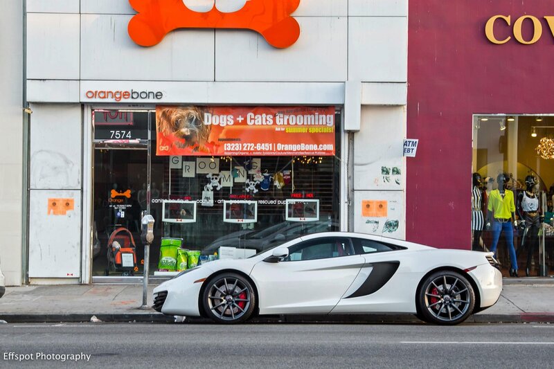 White sports car outside pet store