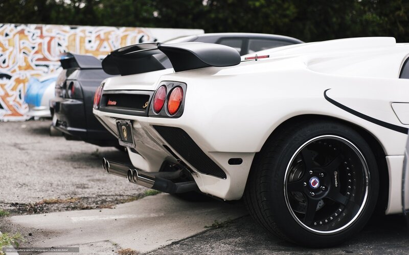 white sports car rear view