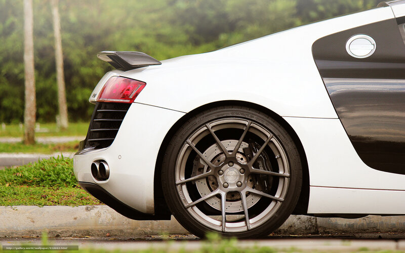 white sports car rear view