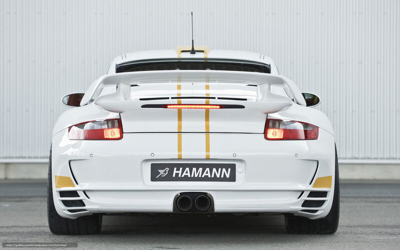white sports car rear view