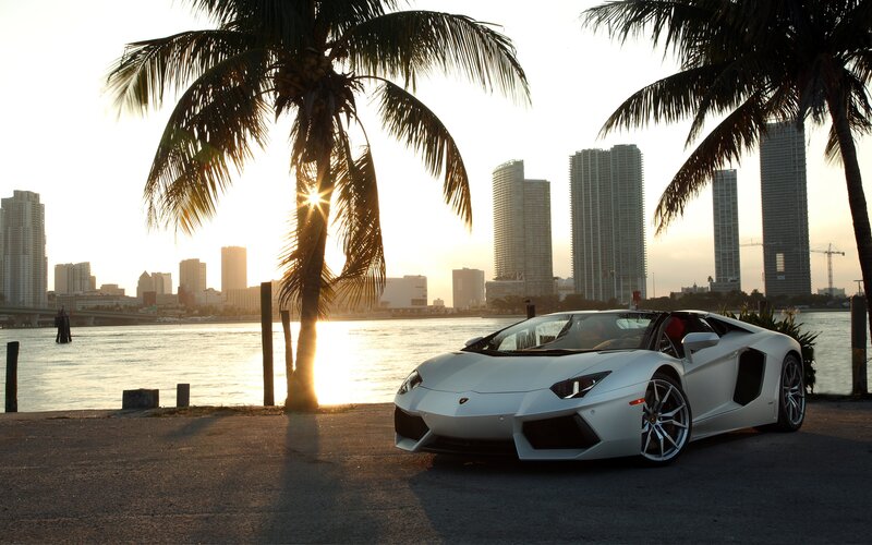 White Sports Car — Serene, Sunset, Photograph, Palm Tree