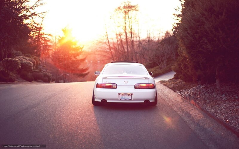 White Sports Car — Serene, Sunset, Photograph, Road, Trees