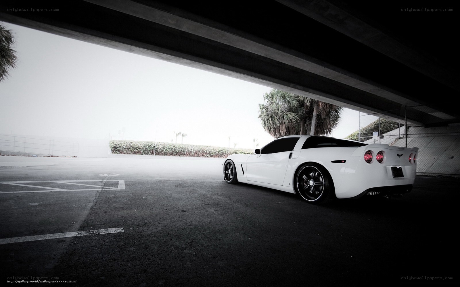 White sports car under overpass