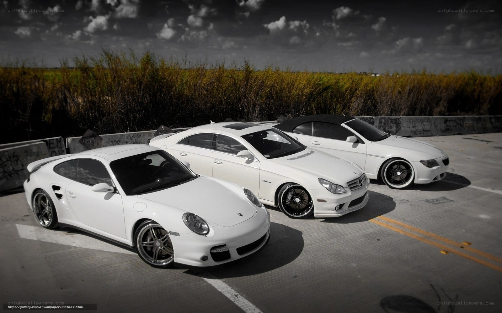 White sports cars in a row