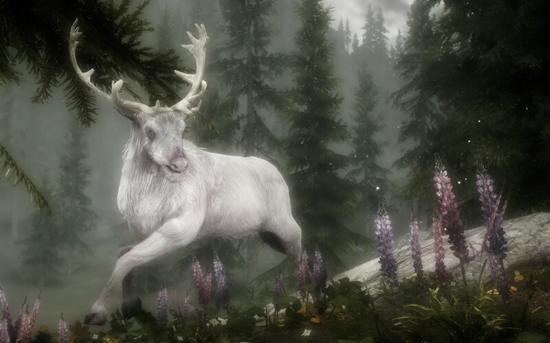 White Stag in Forest
