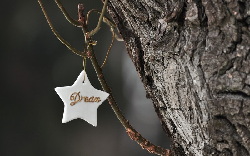 White Star Ornament — Serene