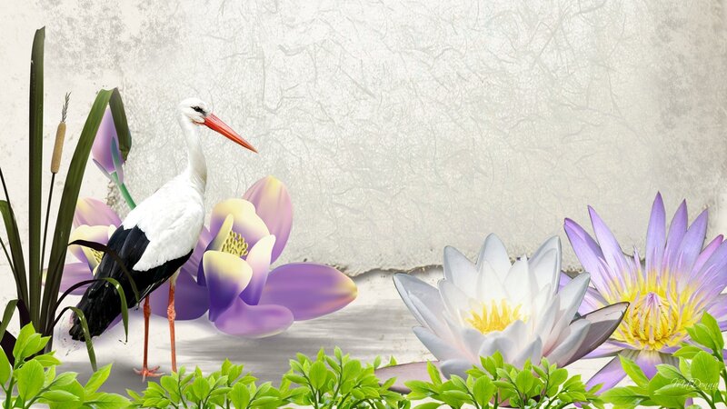 White Stork with Lotus Flowers