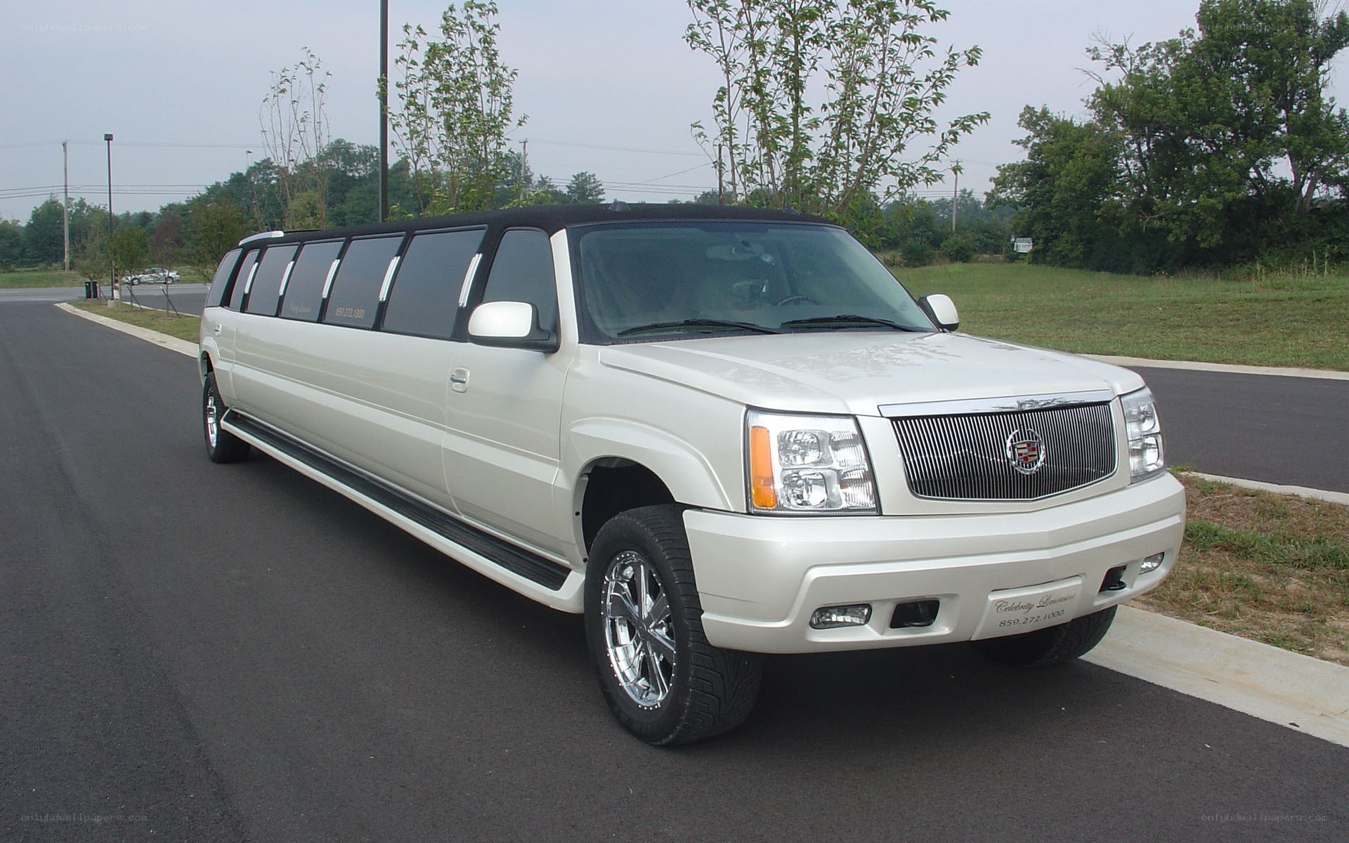 white stretch limousine on road
