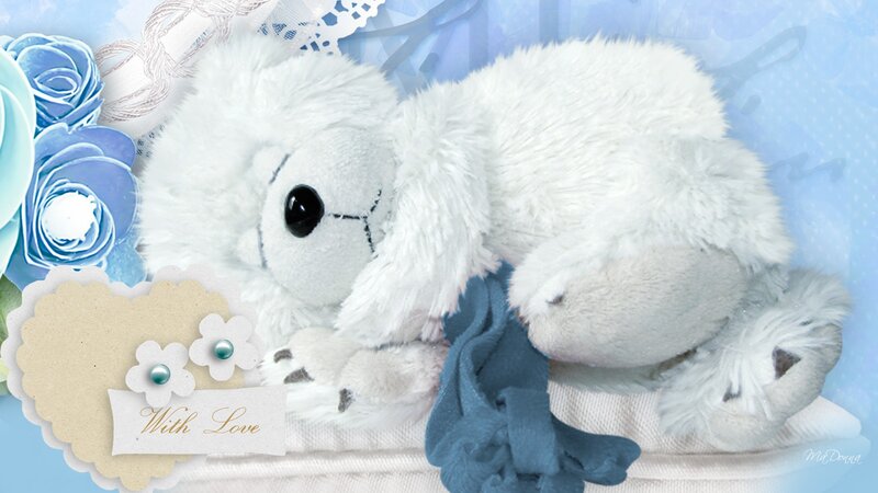 White Stuffed Animal — Blue