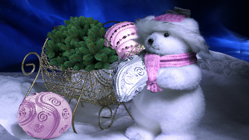 White Stuffed Bear — Blue, Festive