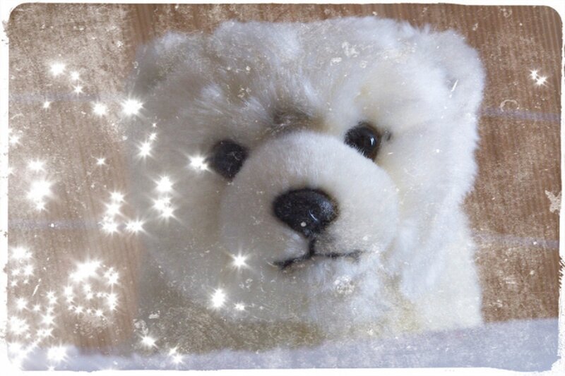 White Stuffed Bear