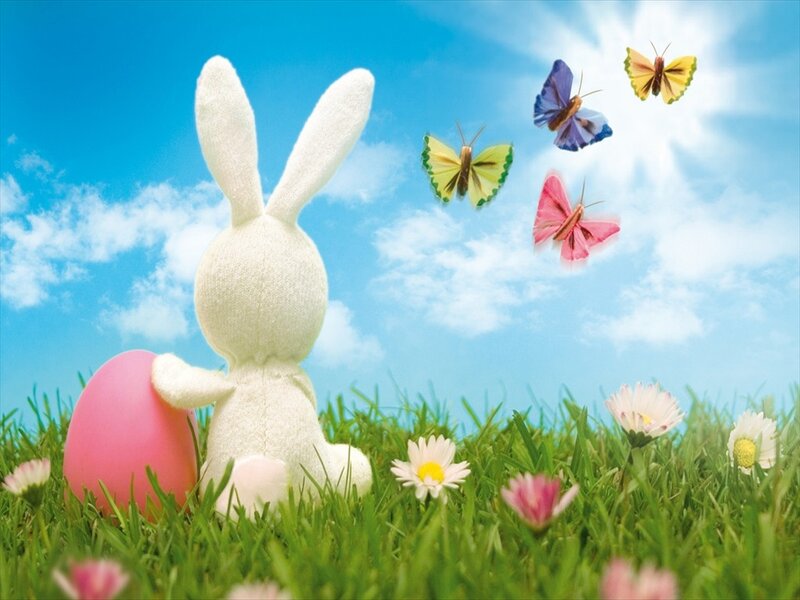White Stuffed Bunny — Blue
