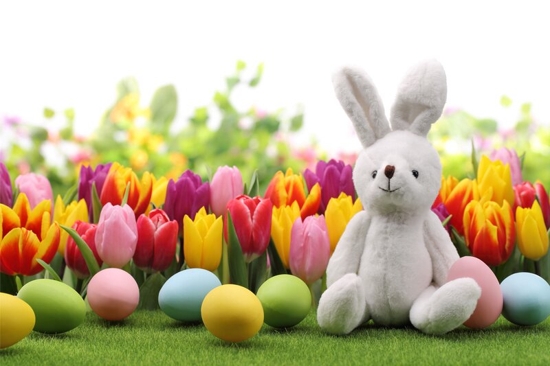 White Stuffed Bunny — Green