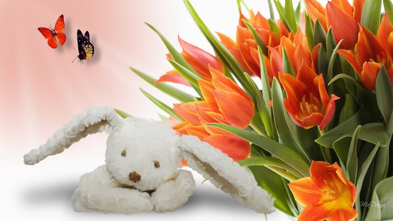 White Stuffed Bunny — Orange