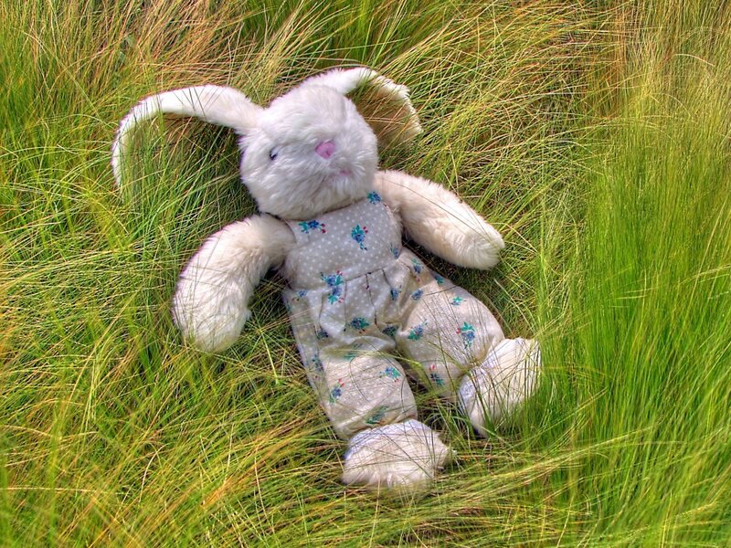 White Stuffed Bunny